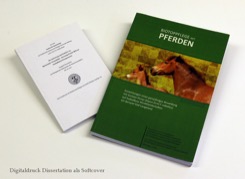 Bachelorarbeit und Dissertation drucken, Sondershausen